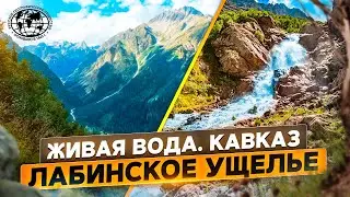 Живая вода. Кавказ | 