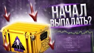 КЕЙС РАСКОЛОТОЙ СЕТИ НАЧАЛ ВЫПАДАТЬ!? ИНВЕСТИЦИИ КСГО!