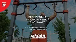 Тренировка на уличной спортивной площадке с тренером World Class Андреем Соболевым