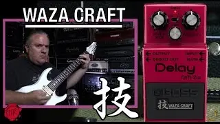 BOSS Delay WAZA CRAFT DM-2w - Demo & Review