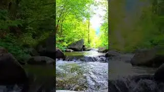 Green Nature River flowing with birds sound Relaxation #Shorts