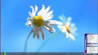 How to Know MySQL Server Name