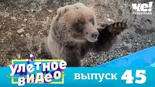 Улетное видео | Выпуск 45