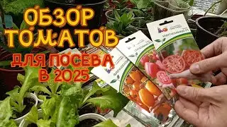 ОБЗОР ТОМАТОВ для посева в 2025 году.