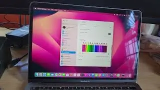 Macbook Screen Showing Weird Colors Fix Red Blue yellow Green