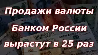 Банк России увеличит продажи валюты в 25 раз