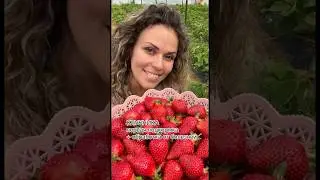 Клубника ПЕРВАЯ ПОДКОРМКА + ОБРАБОТКА ОТ БОЛЕЗНЕЙ делаем её сразу после зимовки.