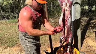 How I gut a deer.