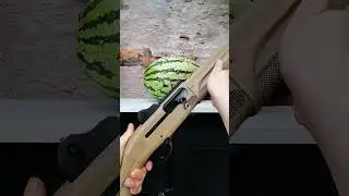 Toy Blaster vs Watermelon