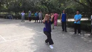 Master Zhou  |  Tan Ma Zhang (Baji Quan)
