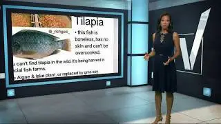 VERIFY: Is tilapia bad for you?