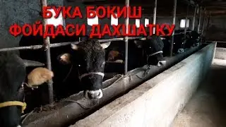 #МОЛ