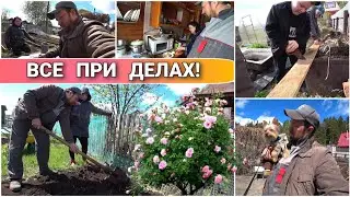 ВЛОГ! Перекопали пол огорода🤪/Доделали с Димкой грядки/Кушаем пельмешки/Дачные будни/Простая жизнь🔥