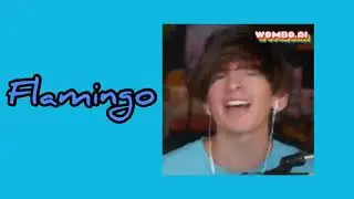 ROBLOX YouTubers Sing Chug Jug...