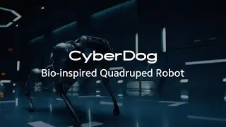 Xiaomi CyberDog | Showcase | Bio-inspired Quadruped Robot
