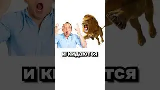 Доставка еды на дом