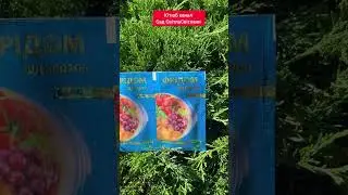 Обробка саду від хвороб та шкідників влітку #садсвітласвітлани #garden #садівництво #хвойні #мегафол