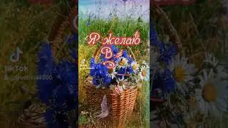 Доброе утро !☀️☕🌺🦋💛#доброеутро #пожеланиедлядрузей #пожелания #лето