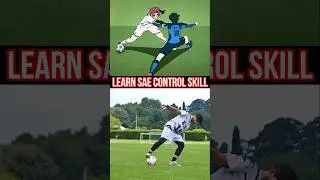 Learn SAE ITOSHI Control Skill! 