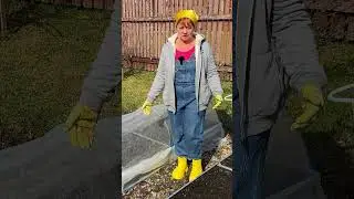 Кто раскапывает грядки. 