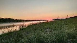 РЫБАЛКА на САЗАНА и АМУРА на ПРУДУ!!! В поисках ТРОФЕЙНОЙ РЫБЫ!!!