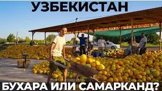 Узбекистан. Таможня 😬 Почему Бухара лучше Самарканда? Обзор. Еда. Цены. Путешествие по стране