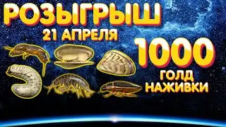 🎁 Розыгрыш 1000 голд наживки 🎯 21 апреля 🎣 Русская Рыбалка 4