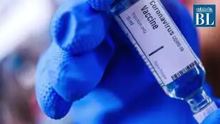 India's Covid-19 vaccine Covaxin shows protective efficacy and immunogenicity in non-human primates