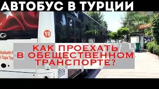ТУРЦИЯ: ГОРОДСКОЙ АВТОБУС как там вообще?