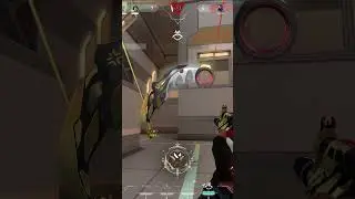 Rarest Valorant Skins 