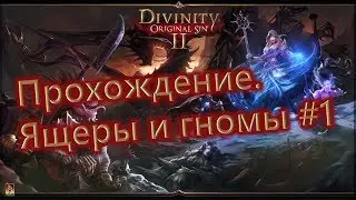 Прохождение divinity original sin 2 - часть 1