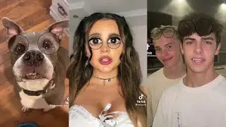 Hello my name is zuzie. Tiktok. Trends. Тикток. Тренды. Милохин, Дина Саева, Карнавал, Гаврилина