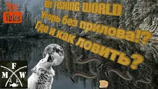 58) My Fishing World Как поймать угря?