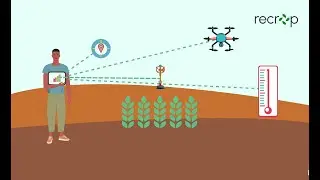 RECROP COST Action: Ensuring Crop Resilience in Extreme Climate Conditions
