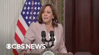 Watch Kamala Harris viral coconut tree remarks