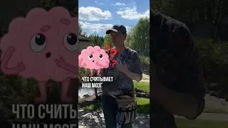 Игры разума в садоводстве. Как это работает в садоводстве. С какими еще «глюками» вы сталкивались?
