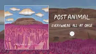 Post Animal - Everywhere All At Once [OFFICIAL AUDIO]