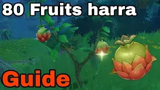 80 FRUITS HARRA rapidement Guide Genshin Impact FR