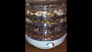 Сушилка для овощей и грибов 