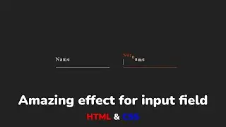 CSS input field text animation using HTML & CSS step by step