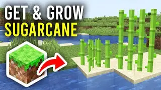 How To Get & Grow Sugarcane In Minecraft - Full Guide