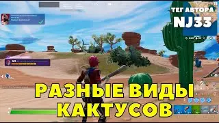 УНИЧТОЖЬТЕ РАЗНЫЕ ВИДЫ КАКТУСОВ / СЕЗОННЫЕ ЗАДАНИЯ 3 ГЛАВА 1 СЕЗОН ФОРТНАЙТ ТЕГ NJ33