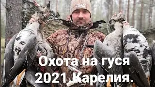 ОХОТА НА ГУСЯ 2021. Карелия, весна + бонус ГЛУХАРЬ !!! #охотанагуся2021