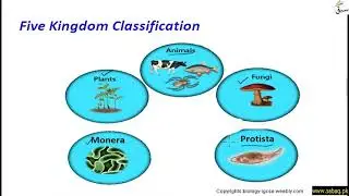 Five Kingdom Classification, General Science Lecture | Sabaq.pk