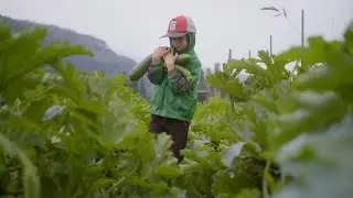 The call of the farm (BC Farmers' Market Trail Stories, Meadow Creek BC)