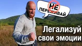 Легализуй свои эмоции! Как рождается подавленность и неосознанность. Егоров Сергей