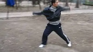 Master Zhou  |  Pigua Zhang Fast Form (Kuai Tao)