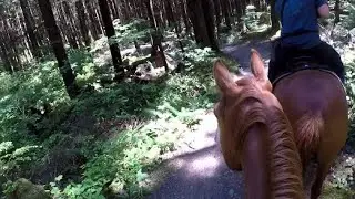 Riding Horses Through A PNW Forest | GoPro