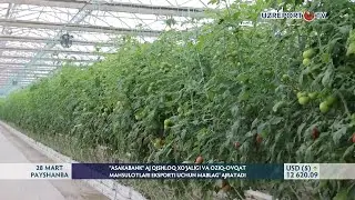 “Asakabank” AJ qishloq xo‘jaligi va oziq-ovqat mahsulotlari eksporti uchun mablag‘ ajratadi
