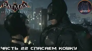 Batman Arkham Knight прохождение без урона часть 22 Спасаем кошку